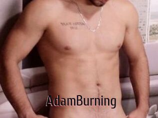 AdamBurning