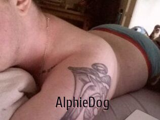 Alphie_Dog