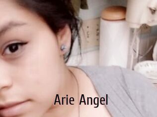 Arie_Angel