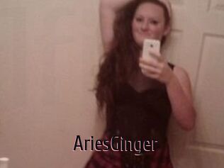 AriesGinger