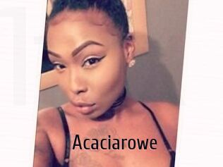 Acacia_rowe