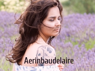 aerinbaudelaire 1 film x