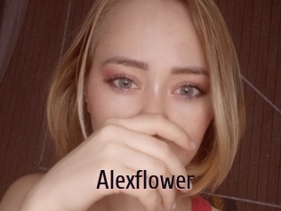 Alexflower