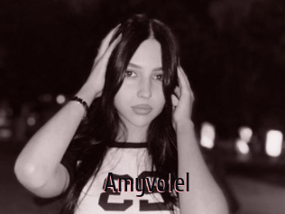 Amyvolel