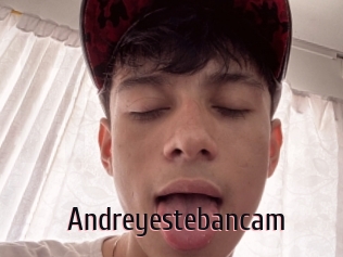 Andreyestebancam