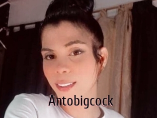 Antobigcock