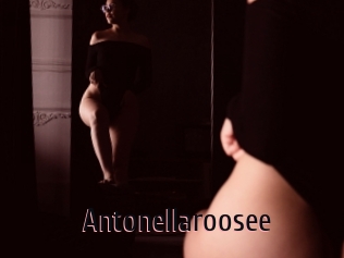 Antonellaroosee