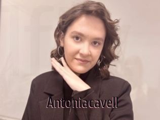 Antoniacavell