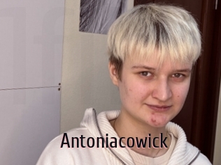 Antoniacowick