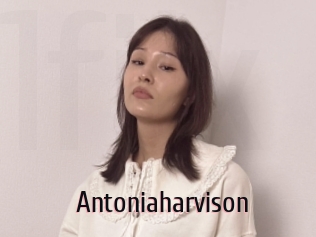 Antoniaharvison