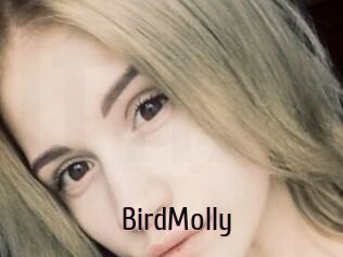 BirdMolly