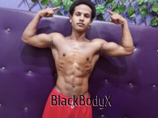 BlackBodyX