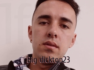 Big_dicktop23