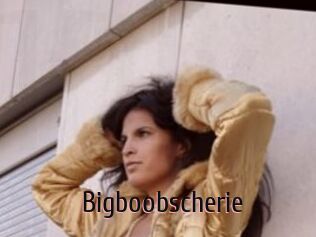 Bigboobscherie