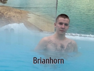 Brianhorn