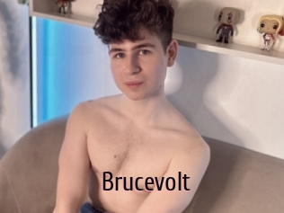 Brucevolt