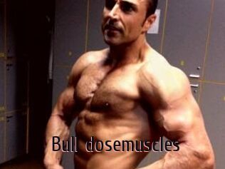 Bull_dosemuscles