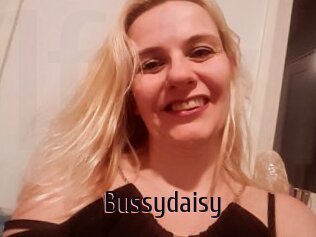 Bussydaisy