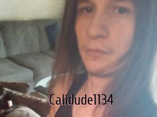 Calidude1134