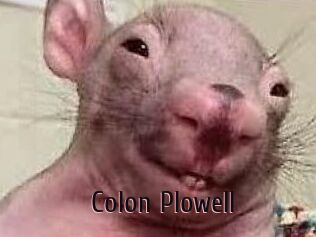 Colon_Plowell