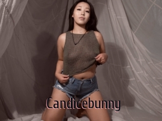 Candicebunny