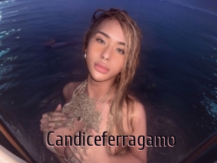 Candiceferragamo