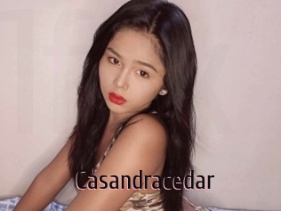 Casandracedar