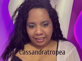 Cassandratropea