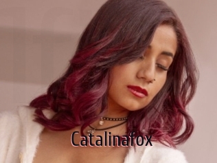 Catalinafox