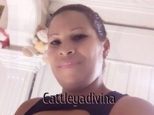 Cattleyadivina