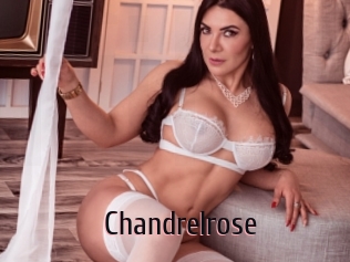 Chandrelrose