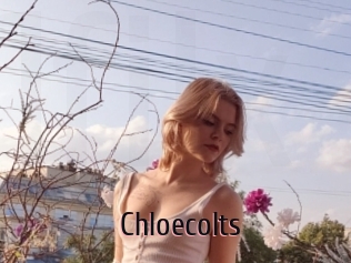 Chloecolts