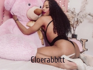 Cloerabbitt