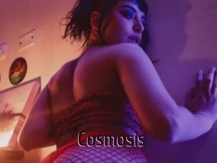 Cosmosis