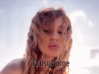 Daisyburge