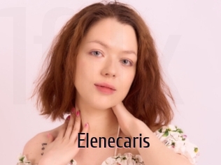 Elenecaris