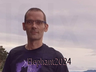 Elephant2024