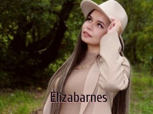 Elizabarnes