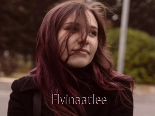 Elvinaatlee