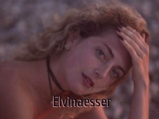 Elvinaesser