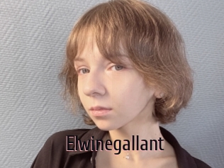 Elwinegallant