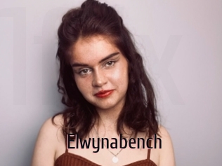 Elwynabench