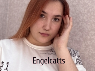 Engelcatts