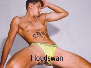 Floydswan