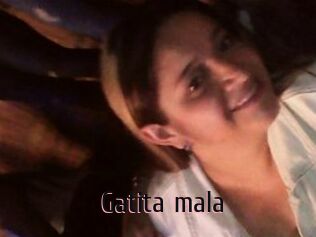 Gatita_mala