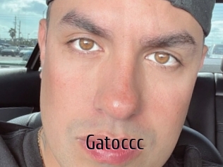 Gatoccc