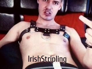 IrishStripling