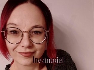 Inezmodel