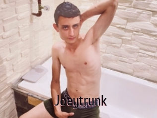 Joeytrunk