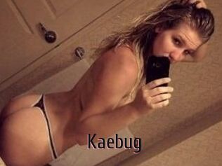 Kaebug